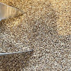 hard Red Winter Wheat berries